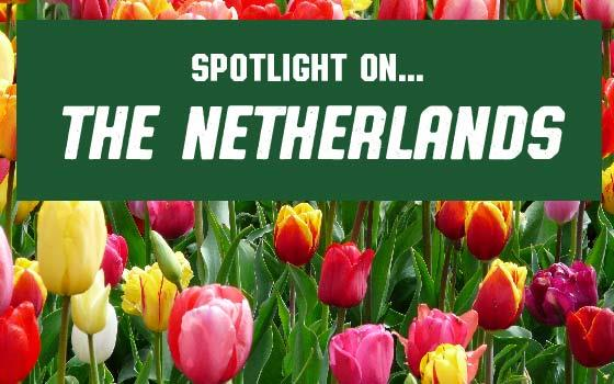Spotlight on...the Netherlands!