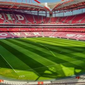 Estadio da Luz Tour