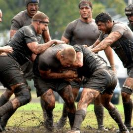 Professional Rugby Coaching