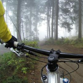 Downhill Scooters