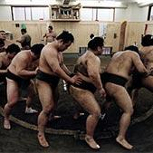 Sumo Stable Visit