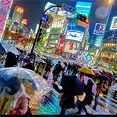 Guided Tokyo Tour