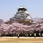 Guided Osaka Tour