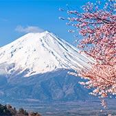 Hike Mount Fuji