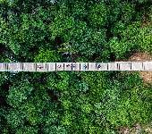 Capilano Suspension Bridge