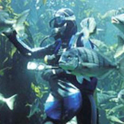 Two Oceans Aquarium Two Oceans Aquarium