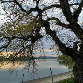 Danube Bend