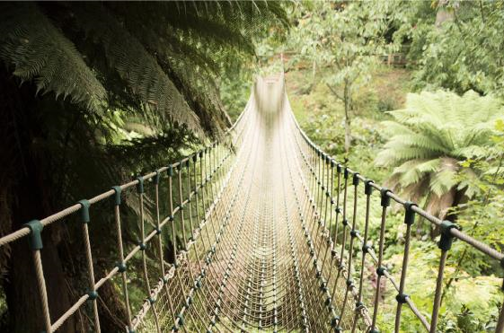 The Lost Gardens of Heligan