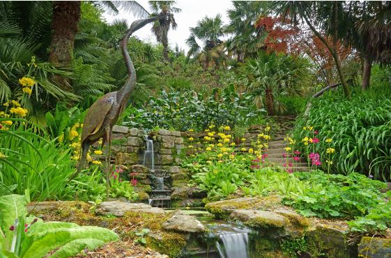 Trebah Garden
