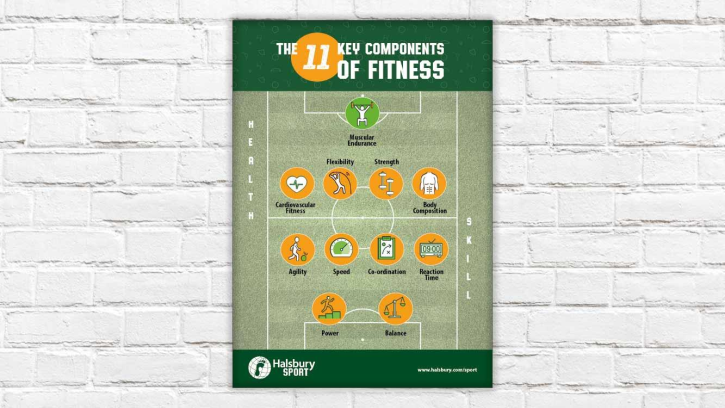 The 11 Key Components of Fitness