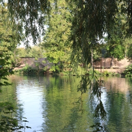 View of the lake in Parc de la Tête d'Or