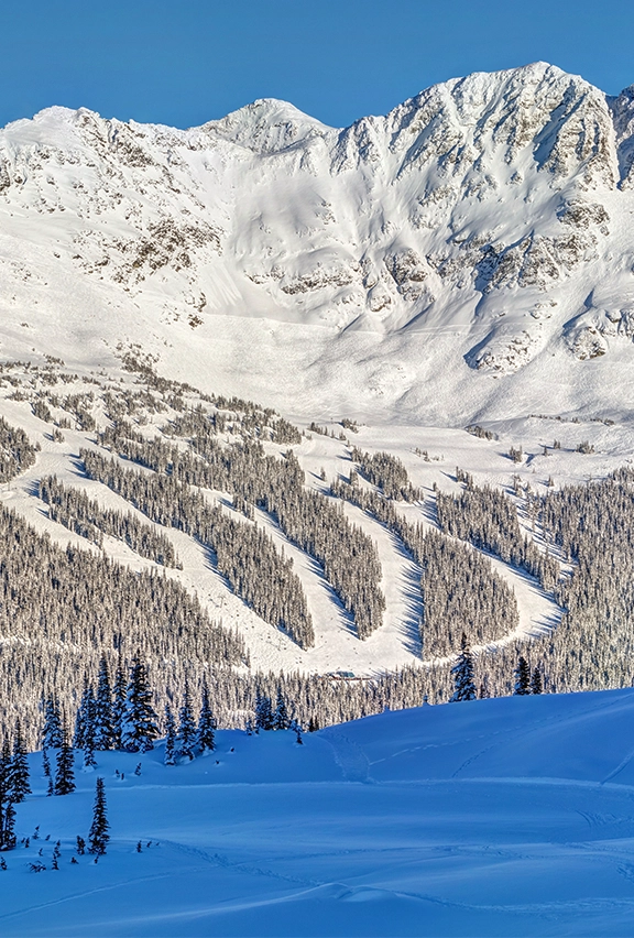 Snow covered mountains and fir trees