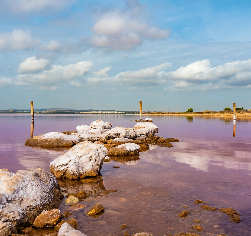 Las Lagunas de la Mata y Torrevieja Natural Park