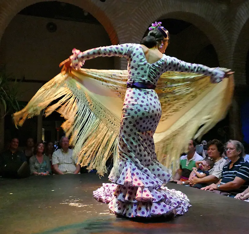 Flamenco Dance Lesson