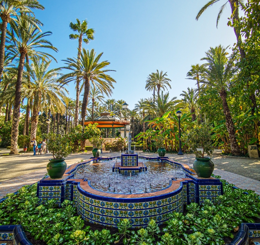 View of the fountain in the middle of the palm trees of Elche