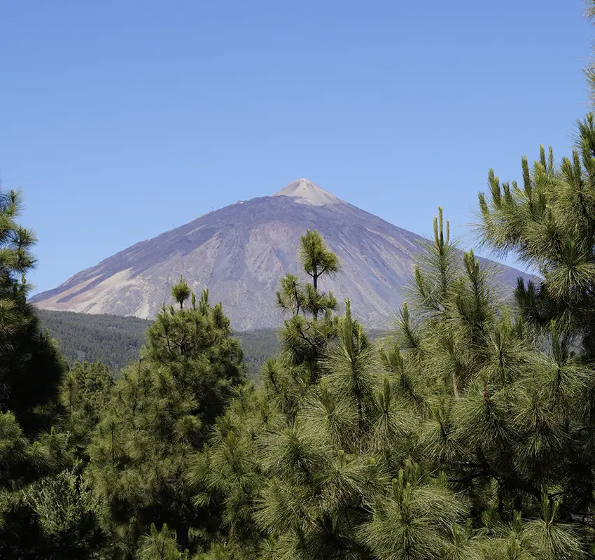 Mount Teide