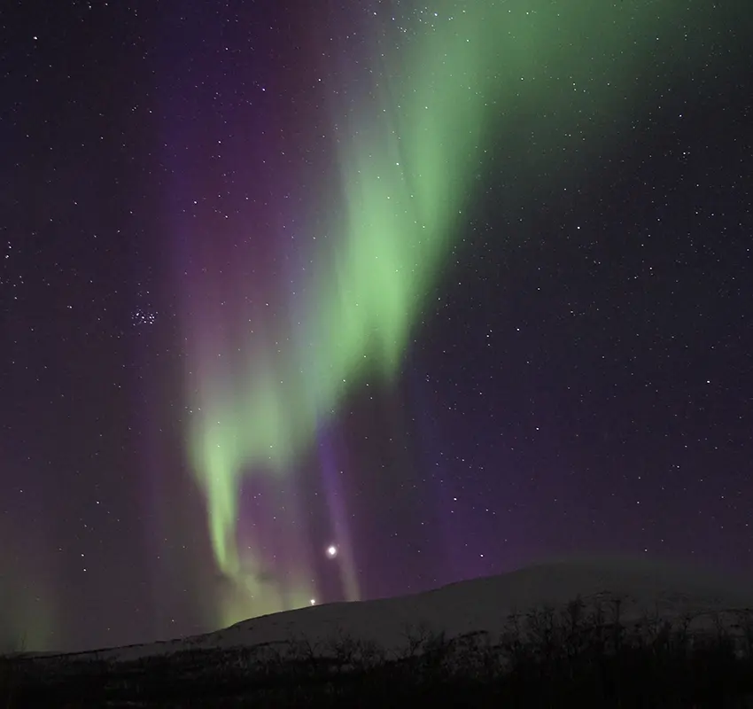 Aurora Reykjavik - Northern Lights Centre