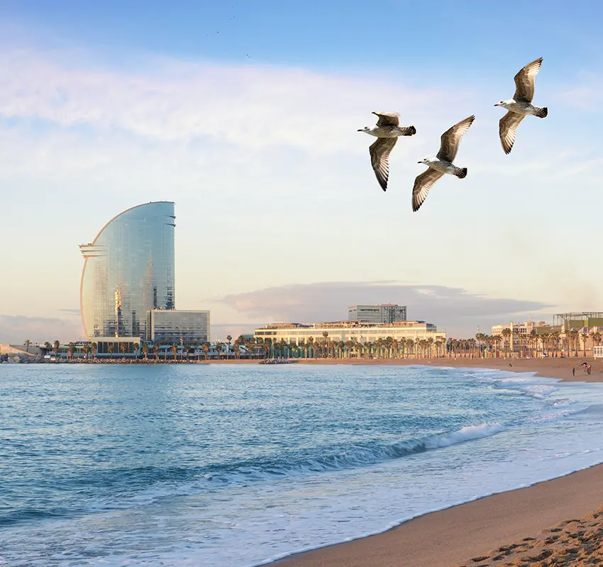Beach management case study
