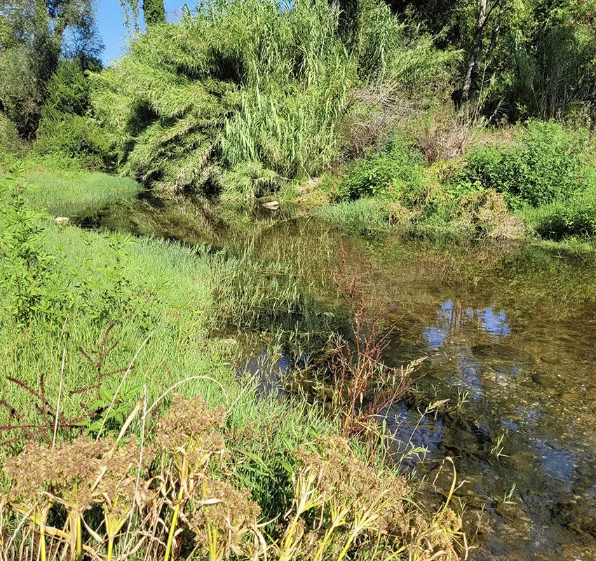 Tordera River Study