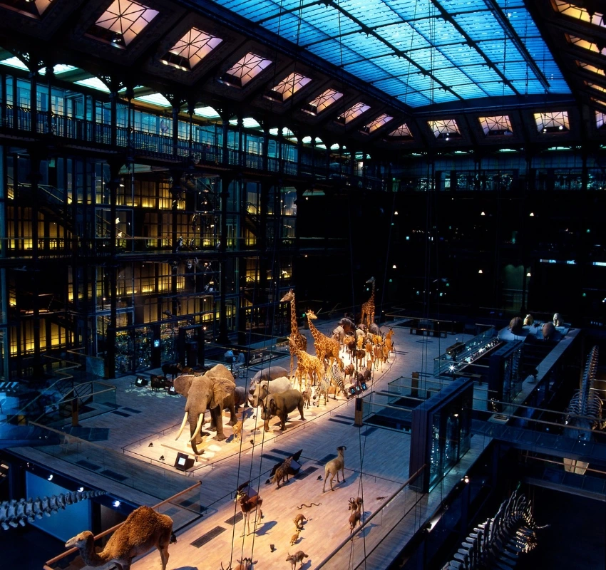 View of the Gallery of Evolution at the Museum Nationale de l'Histoire Naturelle