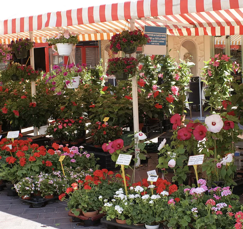 Marché aux Fleurs – Flower Market, Nice