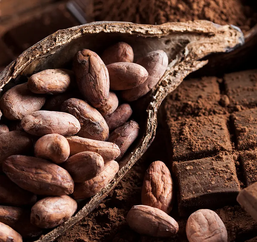 Chocolats de Beussent