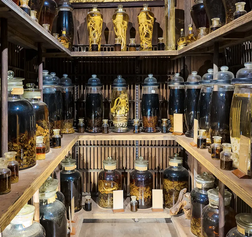 Museum of Traditional Vietnamese Medicine