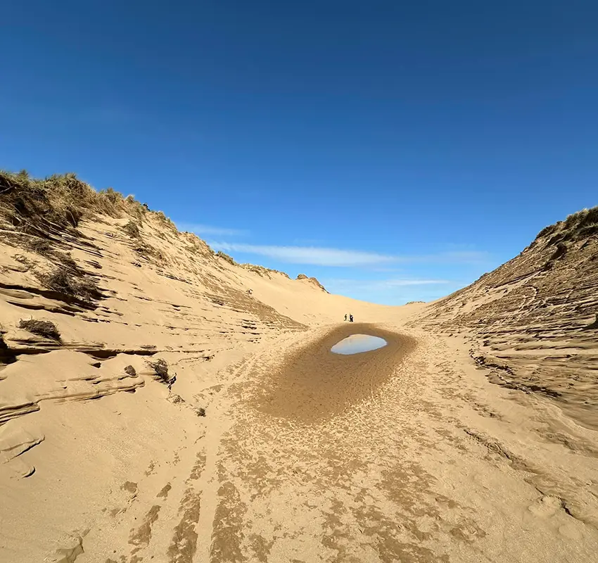 Sand dune in Devon