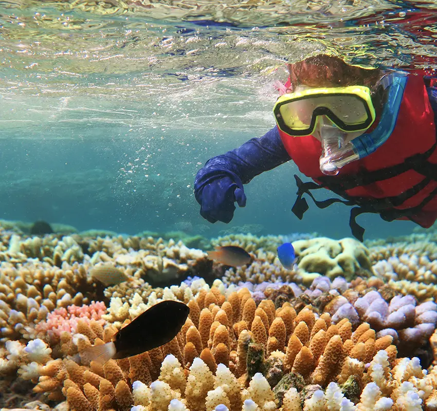 Kayaking, Snorkelling and Rock Climbing