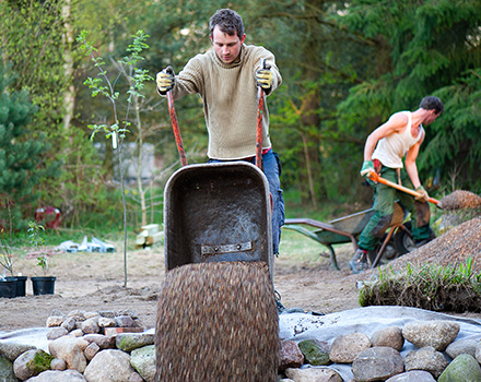 Eine Idee wird geboren