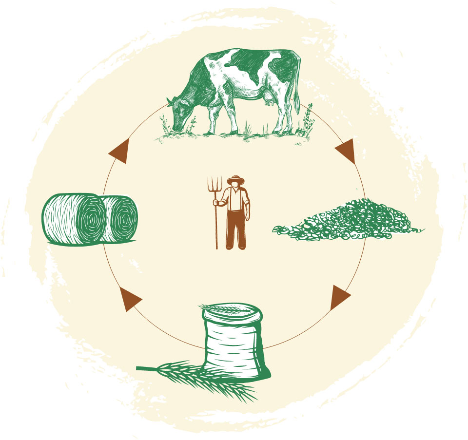 Der Kreislauf unserer Landwirtschaft