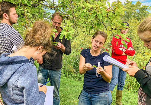 Grüne Runde für Gartenfreunde