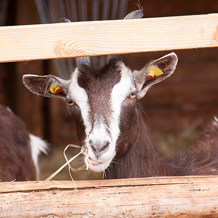 Hier gibt’s viel zu sehen und zu erleben