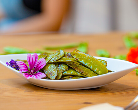 Aus Bio lässt sich noch viel mehr machen.