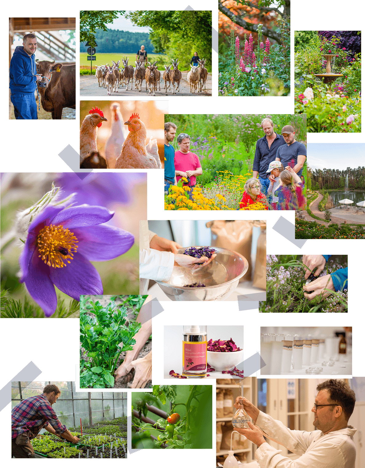 Natur – Alle Patenschaften auf einen Blick