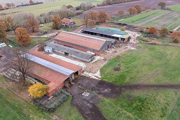 Sprung über die Elbe