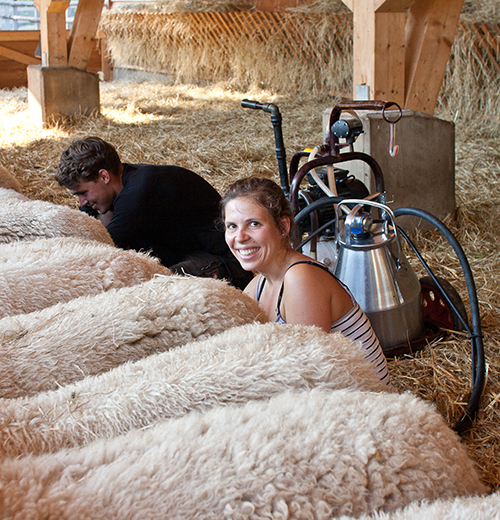 Clevere Leute zum Mitmachen gesucht!