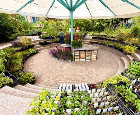 August 2025 - Staudenfestival in Sammatz