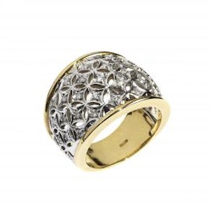 Close up on white background of a white and yellow gold ring