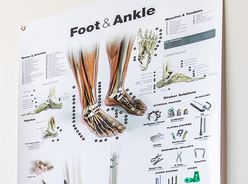 Detailed breakdown of foot and ankle care