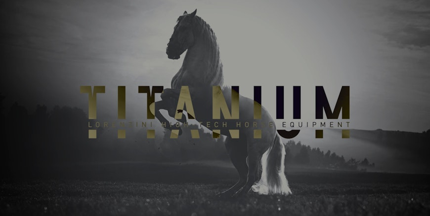 Quamm per Lorenzini Horse | Portfolio