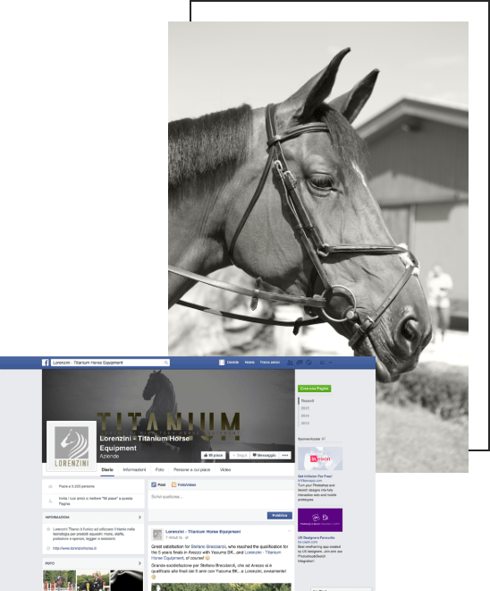 Quamm per Lorenzini Horse | Portfolio