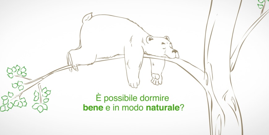 Concept creativo: CGA Art Agency