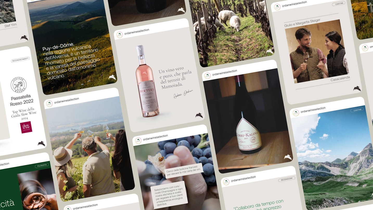 Quamm per Ordan Wine Selection, Portfolio