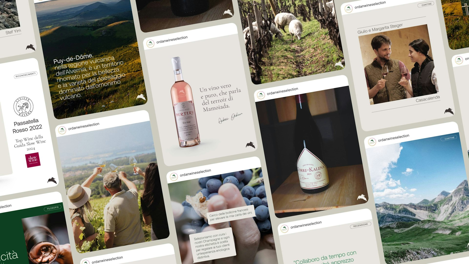 Quamm per Ordan Wine Selection, Portfolio