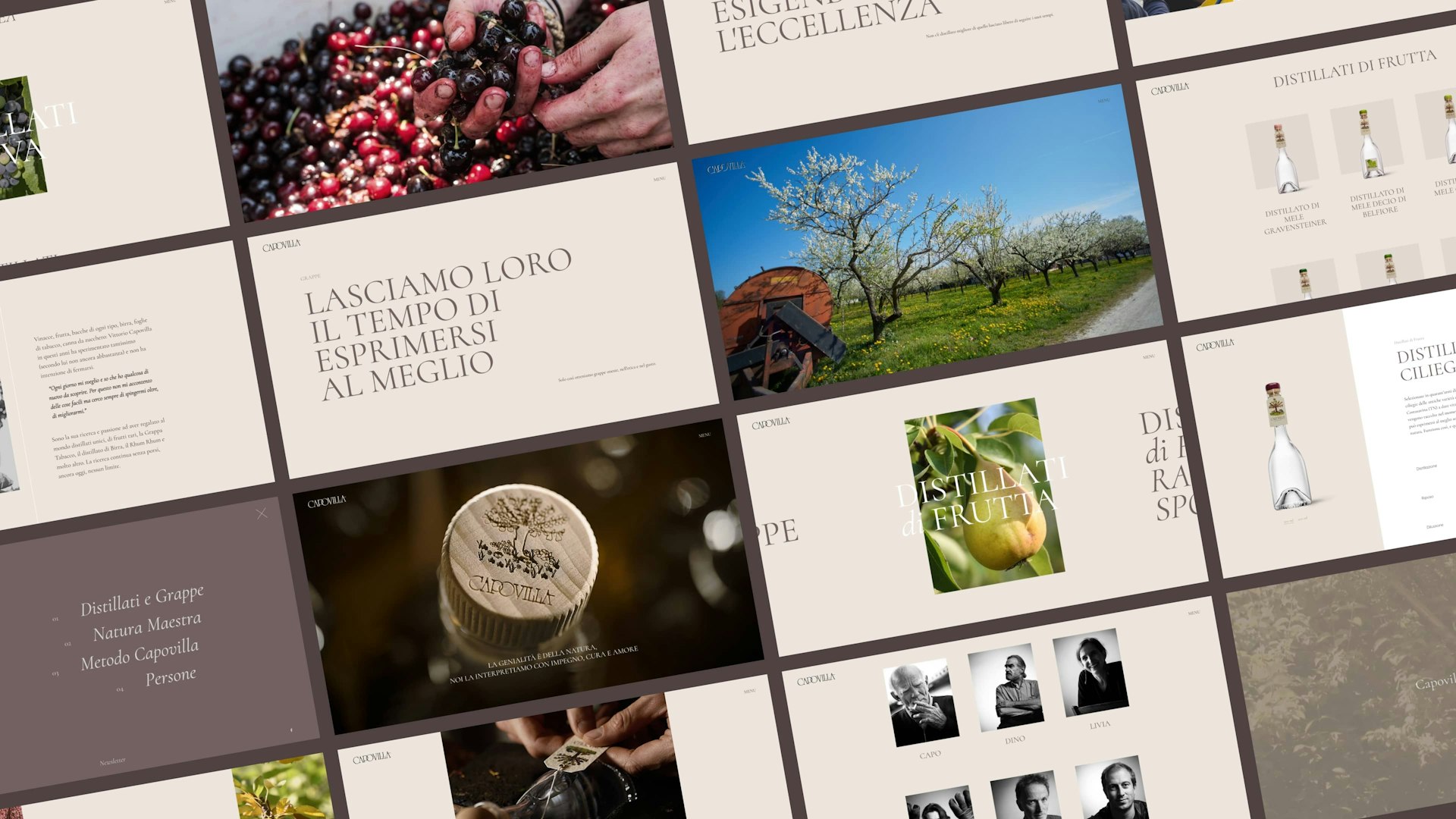 Desktop screen Capovilla