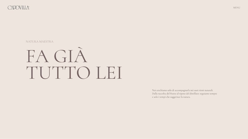 Capovilla carosello 4