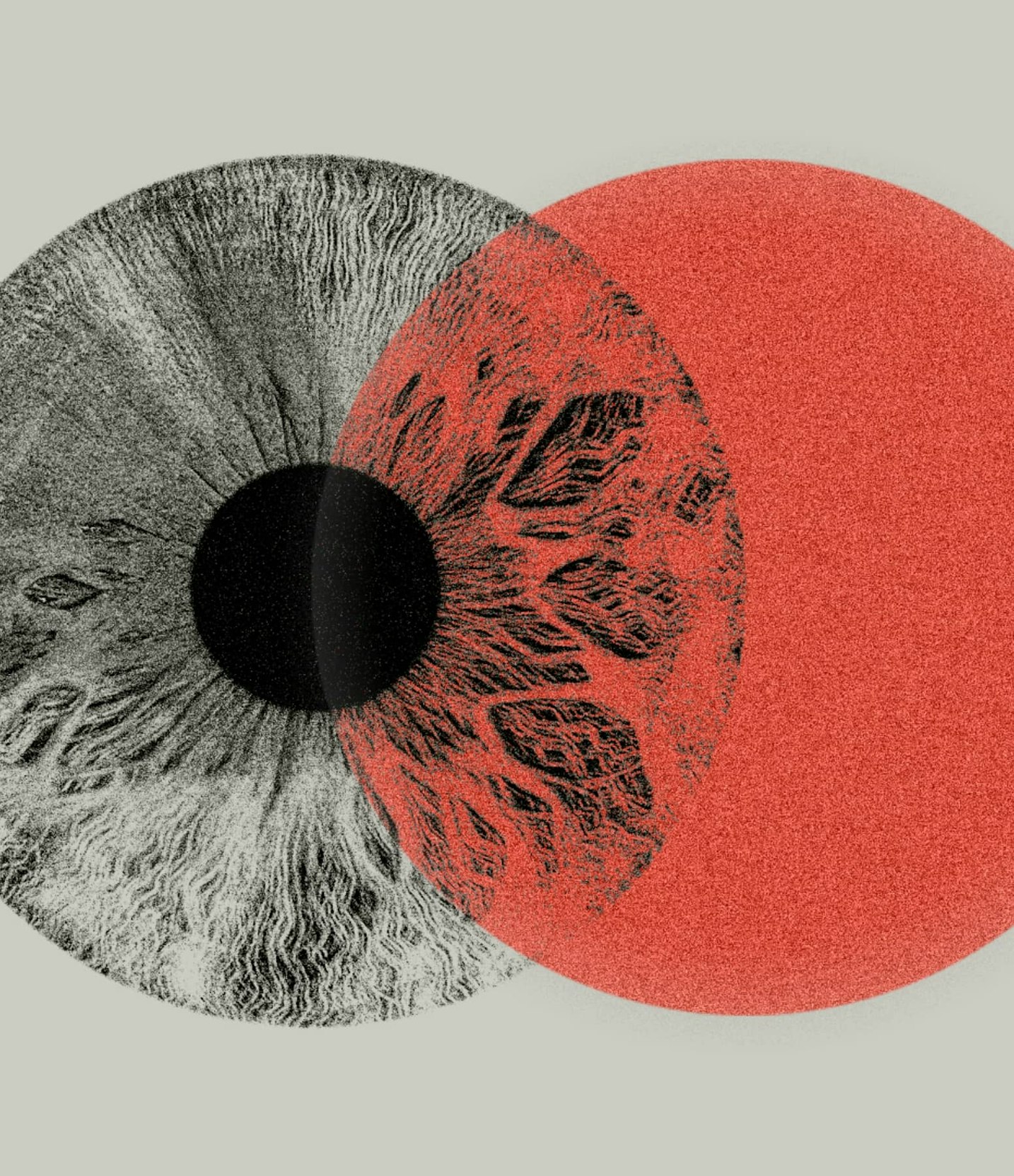 Agenzia di grafica pubblicitaria