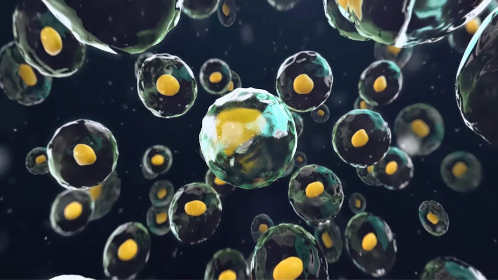 Bluemotion Medical Hero