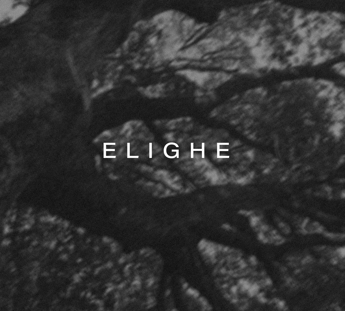 Elighe Lable, Portfolio